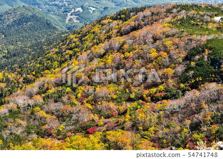 Norikura迴聲線秋天風景 Norikura迴聲線秋天風景 54741748