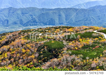 Autumn scenery of Norikura echo line Autumn scenery of Norikura echo line 54741749