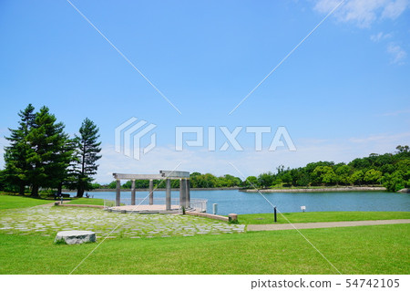 Dragonfly Park Osaka prefecture Dragonfly Park Osaka prefecture 54742105