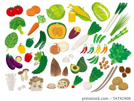 各種蔬菜 54742906