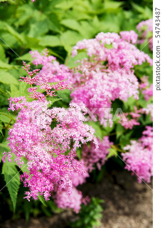 Shimotsukaso (Tottori Prefecture) 54743487