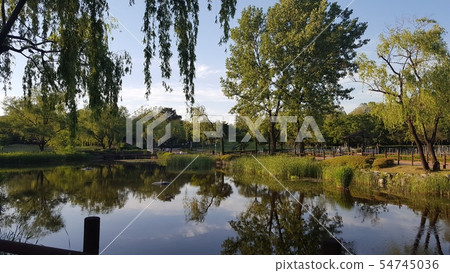 龍山公園柳樹和步行 54745036