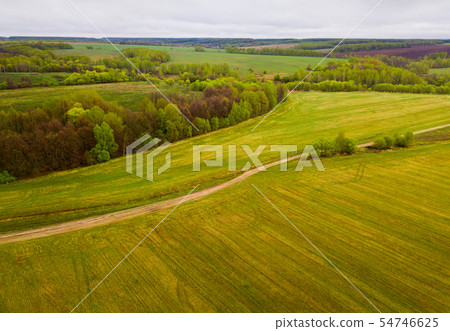 Green fields and meadows 54746625