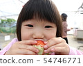 Strawberry picking 54746771