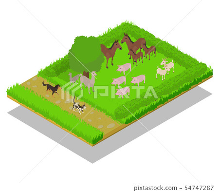 Domestic animal concept banner, isometric style Domestic animal concept banner, isometric style 54747287