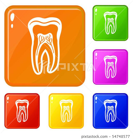 Tooth structure icons set vector color Tooth structure icons set vector color 54748577