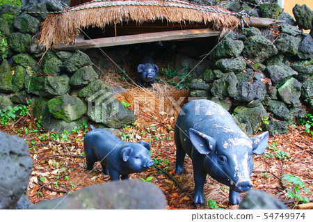 鎮民俗村,韓屋,茅草屋,城鎮,城牆, 鎮民俗村,韓屋,茅草屋,城鎮,城牆, 54749974
