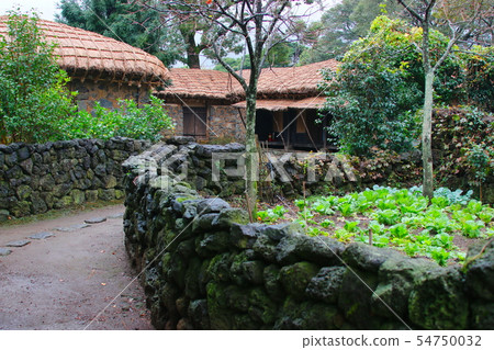 鎮民俗村,韓屋,茅草屋,城鎮,城牆, 鎮民俗村,韓屋,茅草屋,城鎮,城牆, 54750032