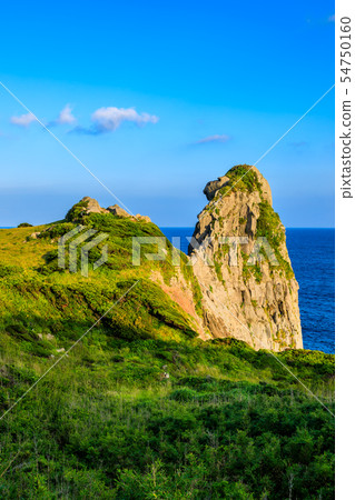 Saruiwa [Sanuki City, Nagasaki Prefecture] 54750160