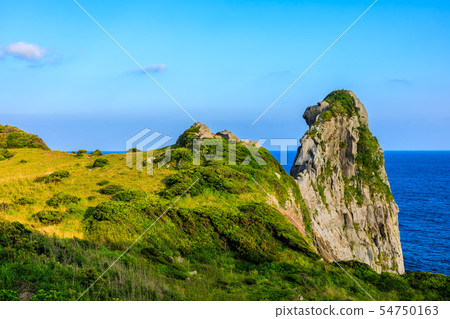 Saruiwa [Sanuki City, Nagasaki Prefecture] 54750163