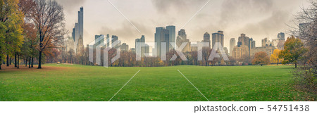 NY Central park at rainy day 54751438