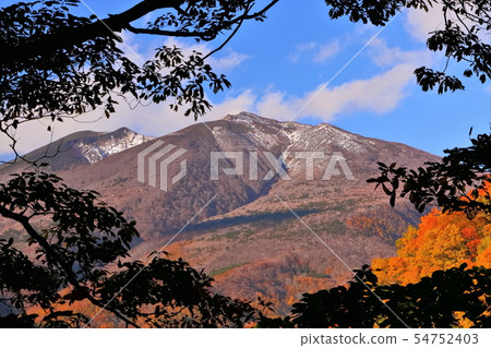 令人難忘的新鮮雪山和山脊的彩色的樹葉 令人難忘的新鮮雪山和山脊的彩色的樹葉 54752403