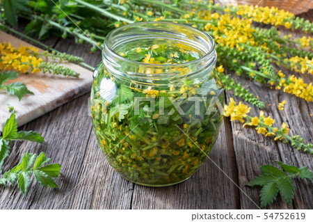 Preparation of tincture from fresh agrimony 54752619