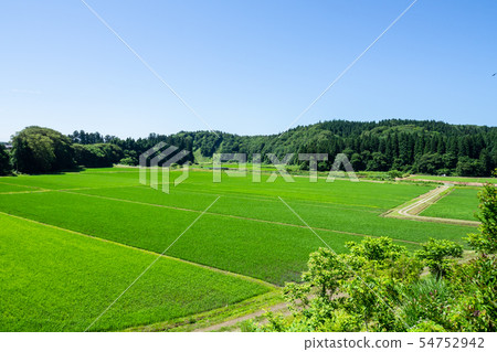 夏田稻田秋田縣 54752942
