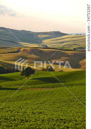 Countryside, San Quirico d`Orcia , Tuscany, Italy Countryside, San Quirico d`Orcia , Tuscany, Italy 54753267