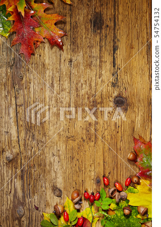 Autumn Leaves over wooden background.With copy Autumn Leaves over wooden background.With copy 54754132