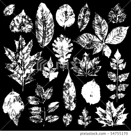 Leaves imprints set. Vector illustration 54755170