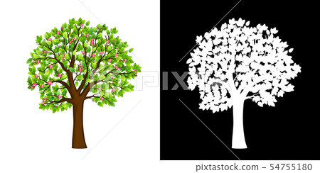 Spring blooming tree isolated vector Spring blooming tree isolated vector 54755180