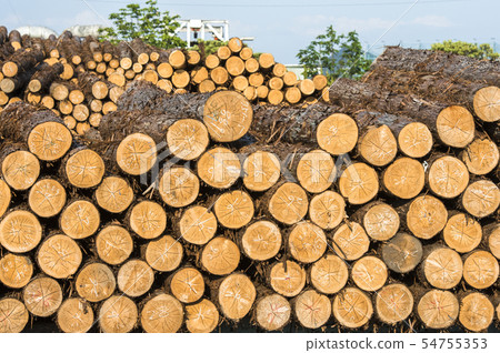 Wood storage space 54755353