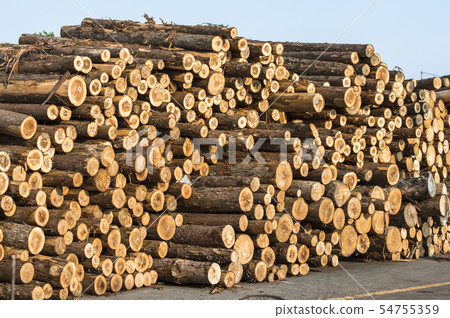 Wood storage space Wood storage space 54755359