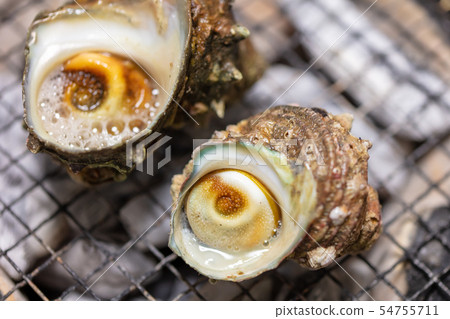 Grilled Sazae, BBQ, bbq, Charcoal-grilled, Grilled, Bintan-charcoal, Seven-Lan, Camp, Meal, Food, Sazae, Eiji 54755711