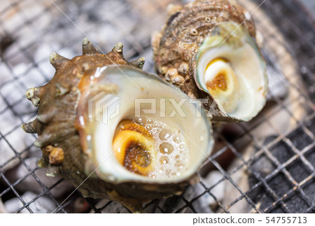 Grilled Sazae, BBQ, bbq, Charcoal-grilled, Grilled, Bintan-charcoal, Seven-Lan, Camp, Meal, Food, Sazae, Eiji Grilled Sazae, BBQ, bbq, Charcoal-grilled, Grilled, Bintan-charcoal, Seven-Lan, Camp, Meal, Food, Sazae, Eiji 54755713