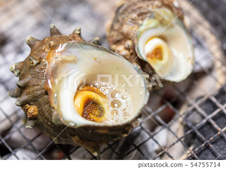 Grilled Sazae, BBQ, bbq, Charcoal-grilled, Grilled, Bintan-charcoal, Seven-Lan, Camp, Meal, Food, Sazae, Eiji 54755714