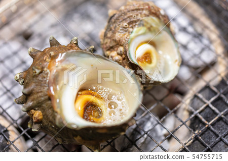 Grilled Sazae, BBQ, bbq, Charcoal-grilled, Grilled, Bintan-charcoal, Seven-Lan, Camp, Meal, Food, Sazae, Eiji 54755715