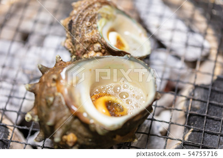 Grilled Sazae, BBQ, bbq, Charcoal-grilled, Grilled, Bintan-charcoal, Seven-Lan, Camp, Meal, Food, Sazae, Eiji 54755716