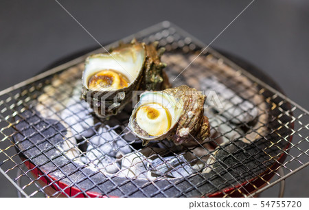 Grilled Sazae, BBQ, bbq, Charcoal-grilled, Grilled, Bintan-charcoal, Seven-Lan, Camp, Meal, Food, Sazae, Eiji 54755720
