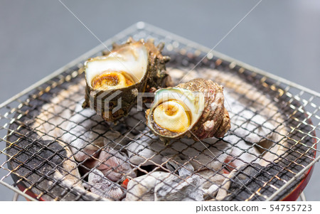Grilled Sazae, BBQ, bbq, Charcoal-grilled, Grilled, Bintan-charcoal, Seven-Lan, Camp, Meal, Food, Sazae, Eiji Grilled Sazae, BBQ, bbq, Charcoal-grilled, Grilled, Bintan-charcoal, Seven-Lan, Camp, Meal, Food, Sazae, Eiji 54755723