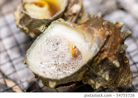 Grilled Sazae, BBQ, bbq, Charcoal-grilled, Grilled, Bintan-charcoal, Seven-Lan, Camp, Meal, Food, Sazae, Eiji 54755726