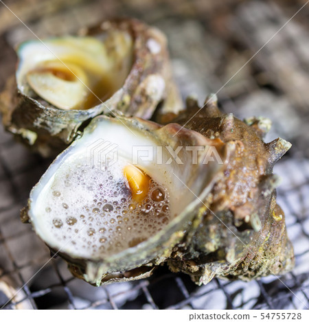 Grilled Sazae, BBQ, bbq, Charcoal-grilled, Grilled, Bintan-charcoal, Seven-Lan, Camp, Meal, Food, Sazae, Eiji Grilled Sazae, BBQ, bbq, Charcoal-grilled, Grilled, Bintan-charcoal, Seven-Lan, Camp, Meal, Food, Sazae, Eiji 54755728