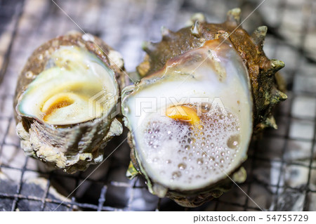 Grilled Sazae, BBQ, bbq, Charcoal-grilled, Grilled, Bintan-charcoal, Seven-Lan, Camp, Meal, Food, Sazae, Eiji Grilled Sazae, BBQ, bbq, Charcoal-grilled, Grilled, Bintan-charcoal, Seven-Lan, Camp, Meal, Food, Sazae, Eiji 54755729