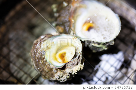 Grilled Sazae, BBQ, bbq, Charcoal-grilled, Grilled, Bintan-charcoal, Seven-Lan, Camp, Meal, Food, Sazae, Eiji 54755732