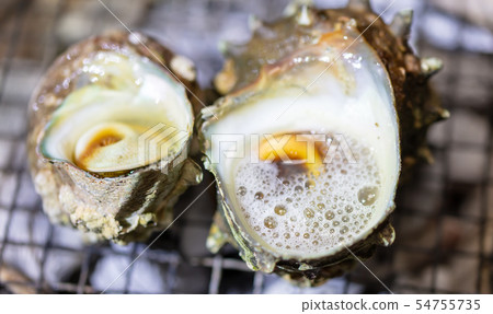 Grilled Sazae, BBQ, bbq, Charcoal-grilled, Grilled, Bintan-charcoal, Seven-Lan, Camp, Meal, Food, Sazae, Eiji 54755735