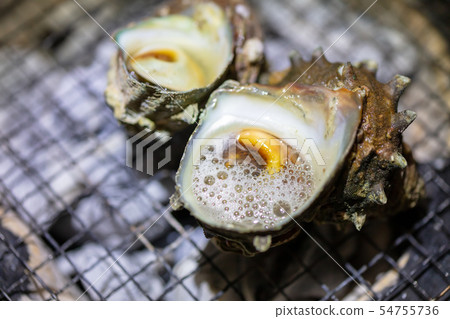 Grilled Sazae, BBQ, bbq, Charcoal-grilled, Grilled, Bintan-charcoal, Seven-Lan, Camp, Meal, Food, Sazae, Eiji 54755736