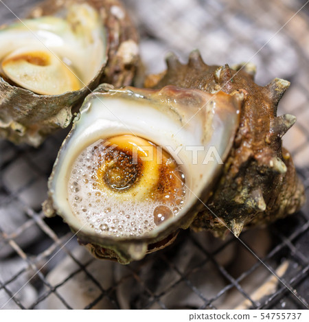 Grilled Sazae, BBQ, bbq, Charcoal-grilled, Grilled, Bintan-charcoal, Seven-Lan, Camp, Meal, Food, Sazae, Eiji 54755737