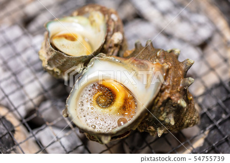 Grilled Sazae, BBQ, bbq, Charcoal-grilled, Grilled, Bintan-charcoal, Seven-Lan, Camp, Meal, Food, Sazae, Eiji 54755739
