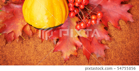 Autumnal background with pumpkins and leaves 54755856