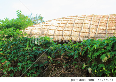 鎮民俗村,韓屋,茅草屋,城鎮,城牆, 鎮民俗村,韓屋,茅草屋,城鎮,城牆, 54756073