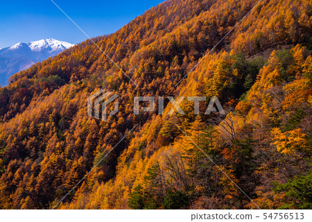 (山梨縣)從Kushigata山穿著雪山的南阿爾卑斯山 (山梨縣)從Kushigata山穿著雪山的南阿爾卑斯山 54756513