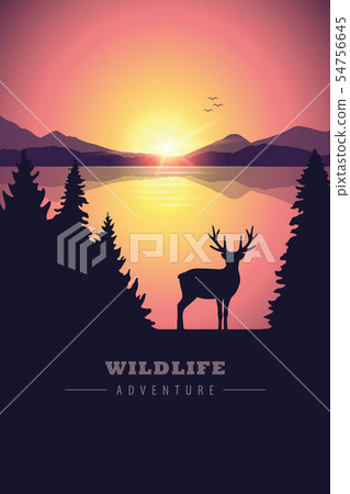wildlife adventure elk in the wilderness by the lake at sunset 54756645