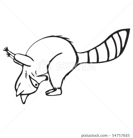 Doodle outline set of raccoon do yoga Doodle outline set of raccoon do yoga 54757685
