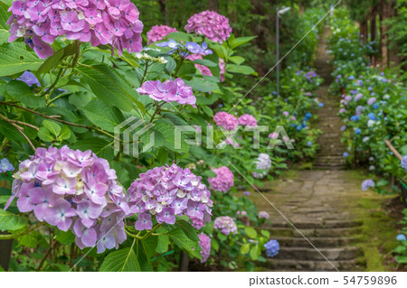 Izushi Fushudo的Ajisai Approach Yamagata，山形縣 54759896