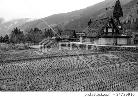 深秋Gokayama Ainokura合掌村 54759916