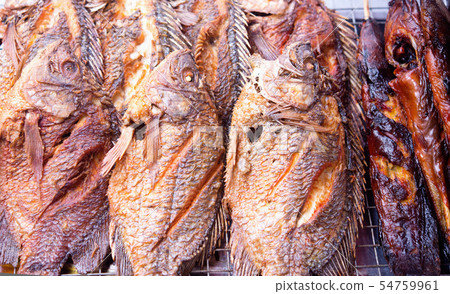 grilled fish 54759961