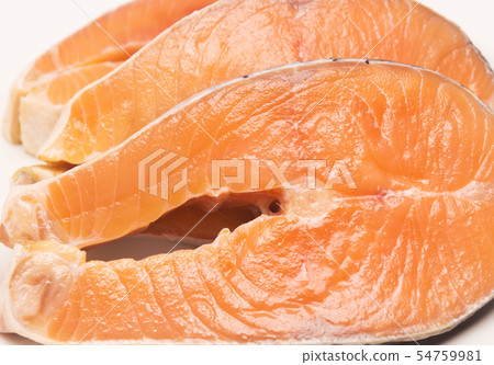 salmon salmon 54759981