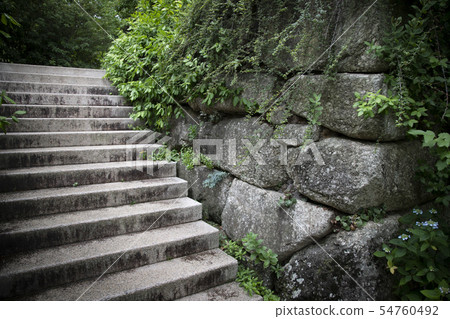 石牆和台階 54760492