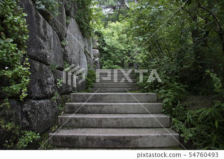 石牆和台階 54760493